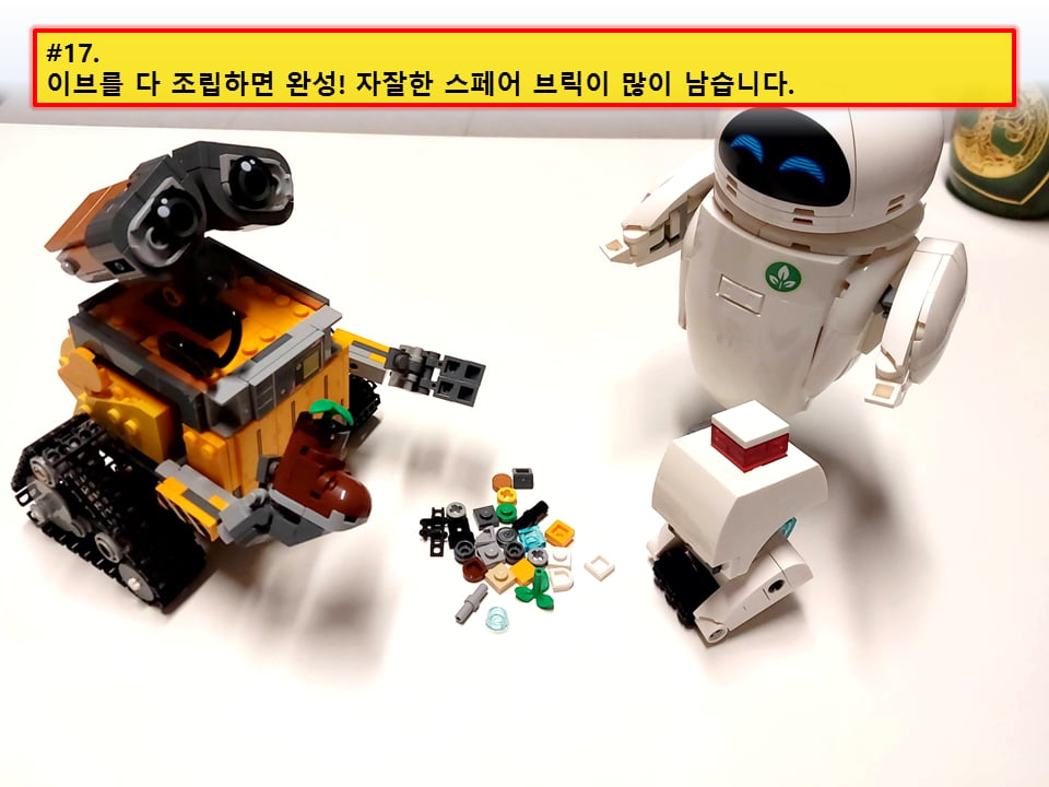 43279-17.jpg