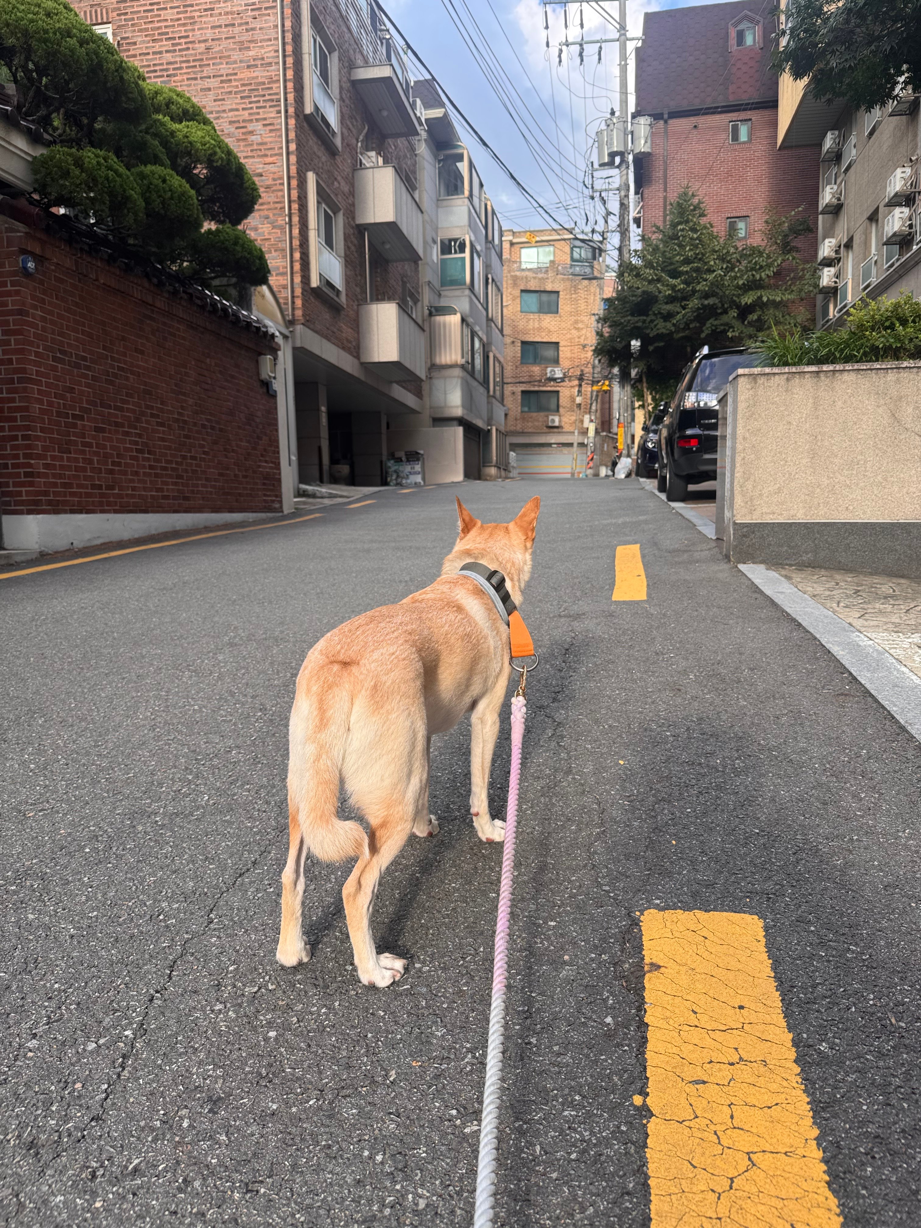 IMG_7400.jpeg