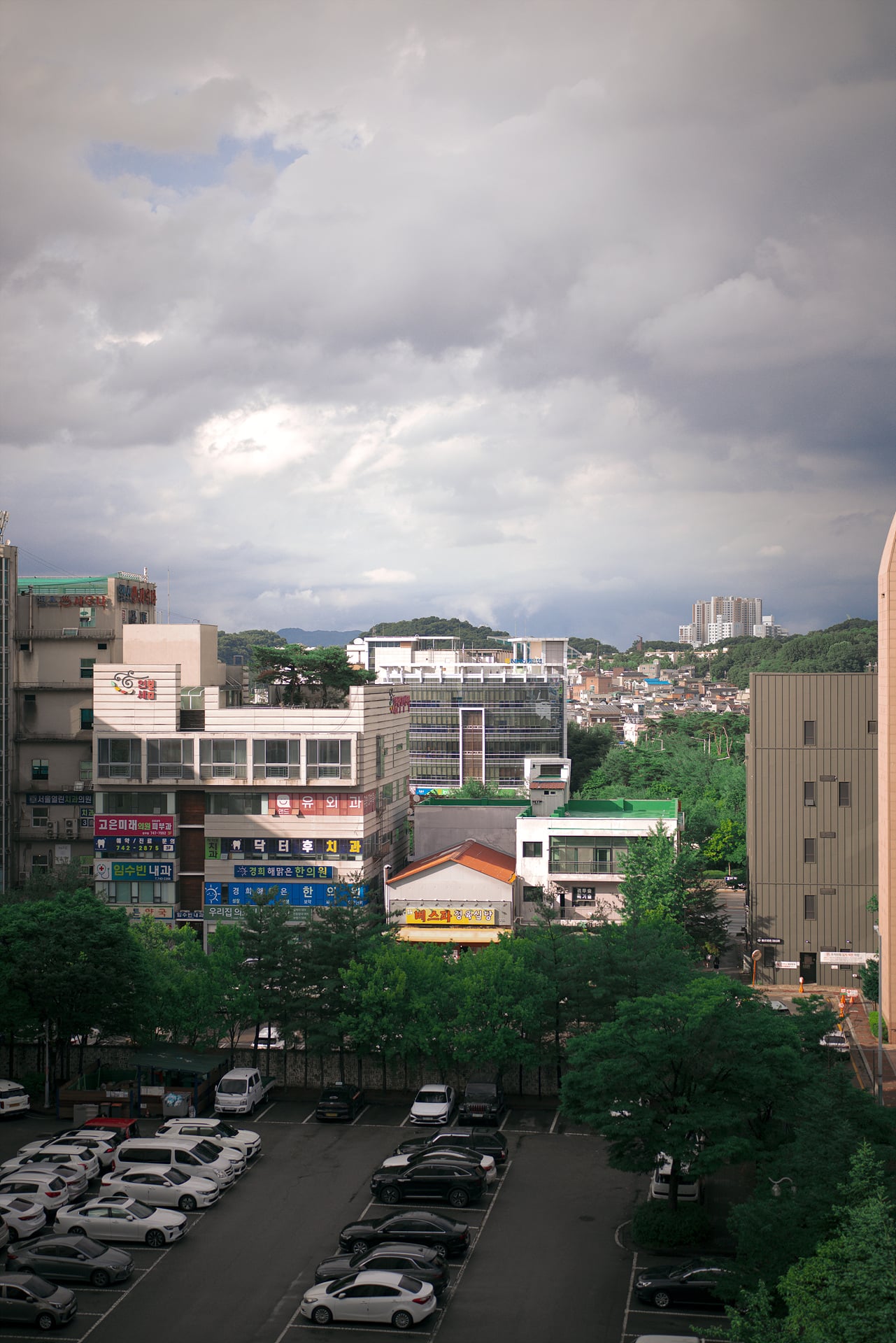 5C2A5229_2.jpg