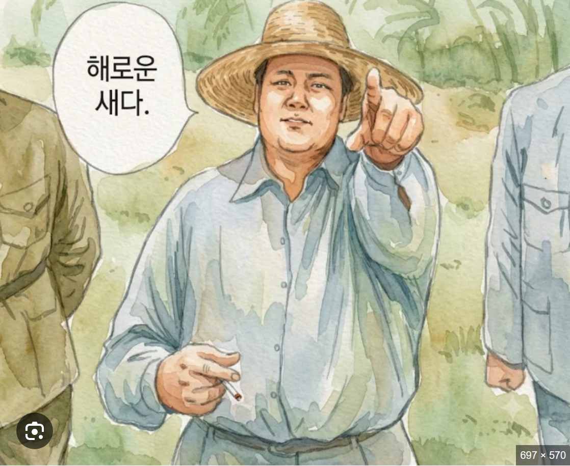 첨부 이미지