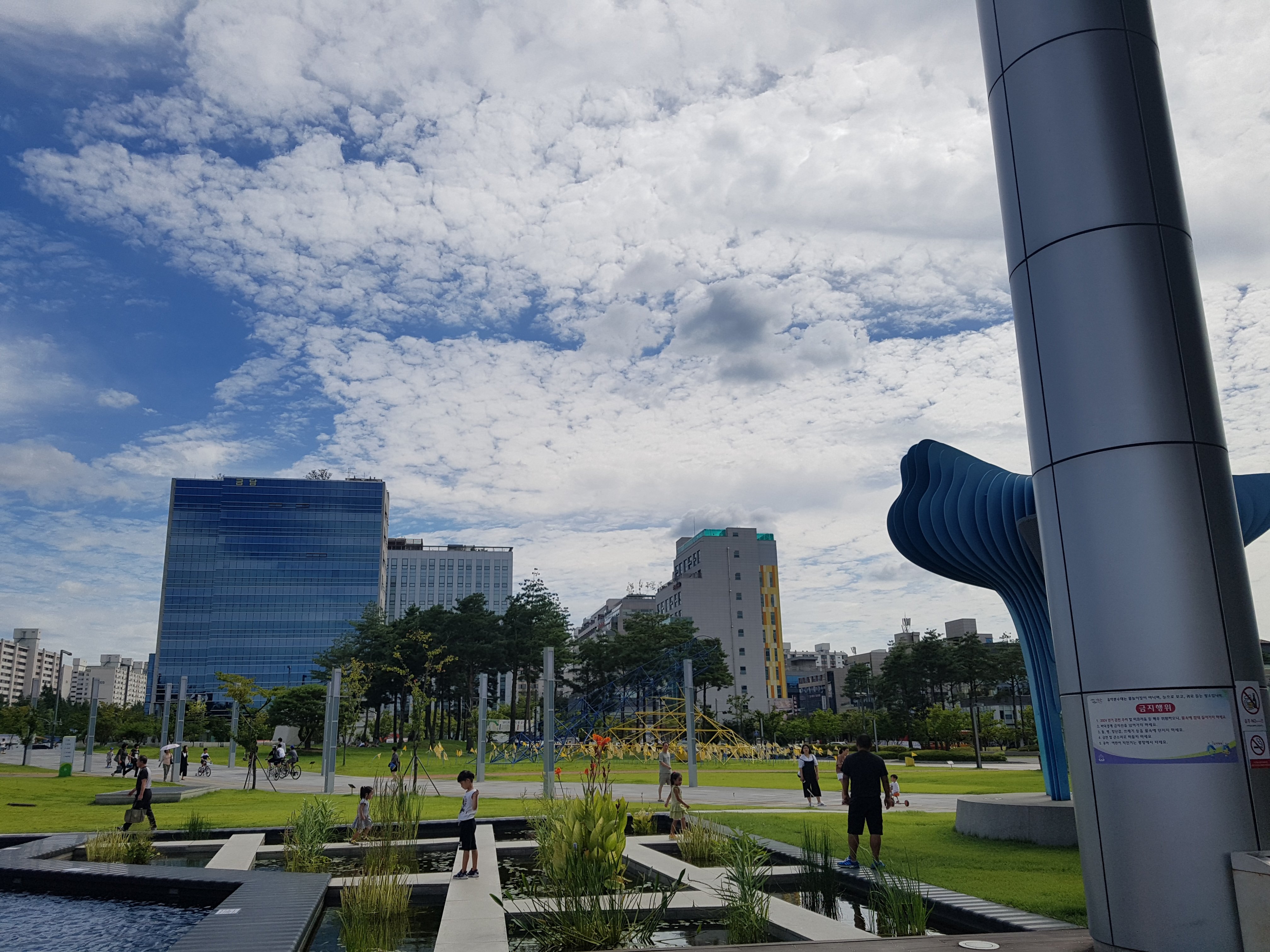 20160827_143703.jpg
