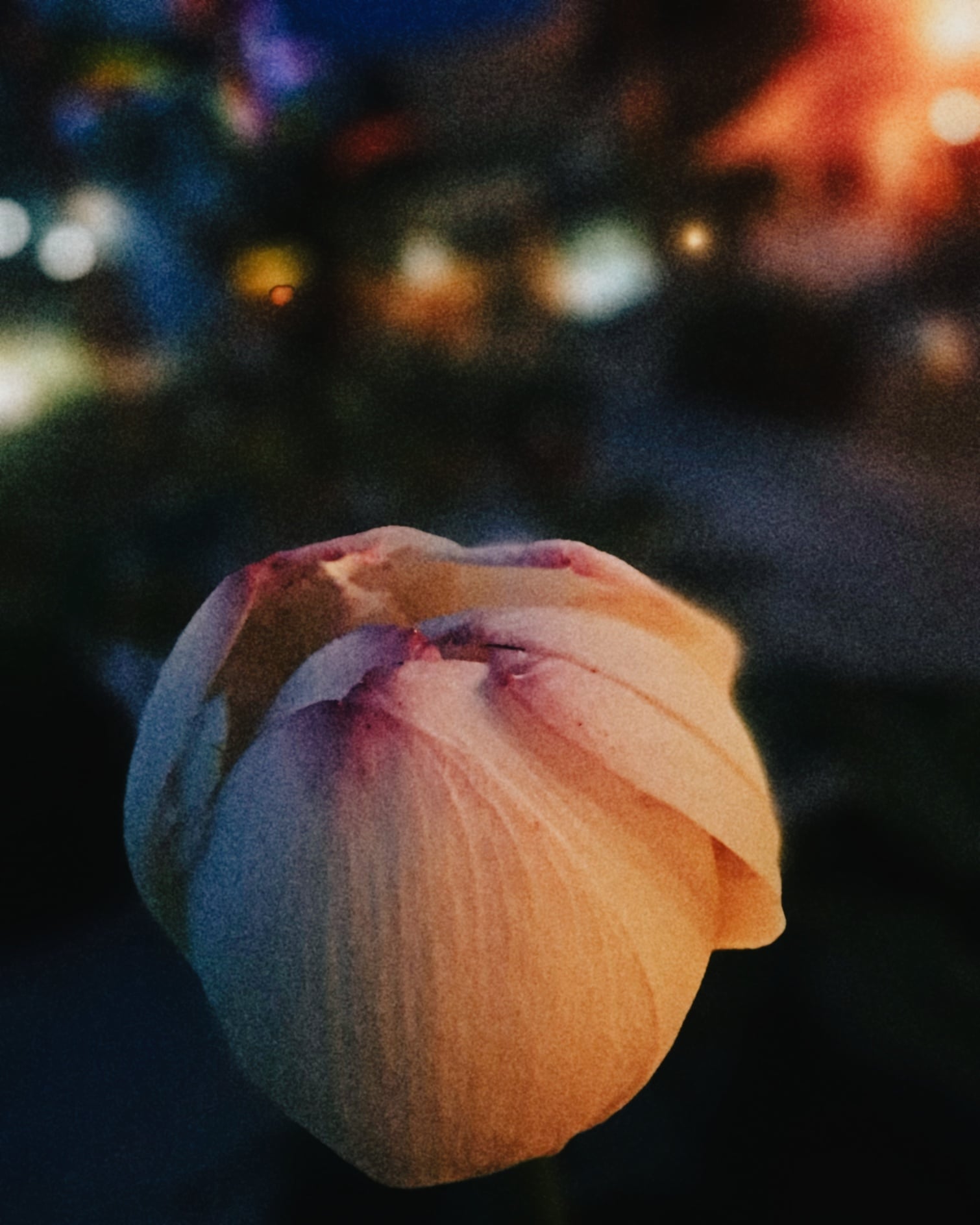 CYMERA_20260716_234318.jpeg