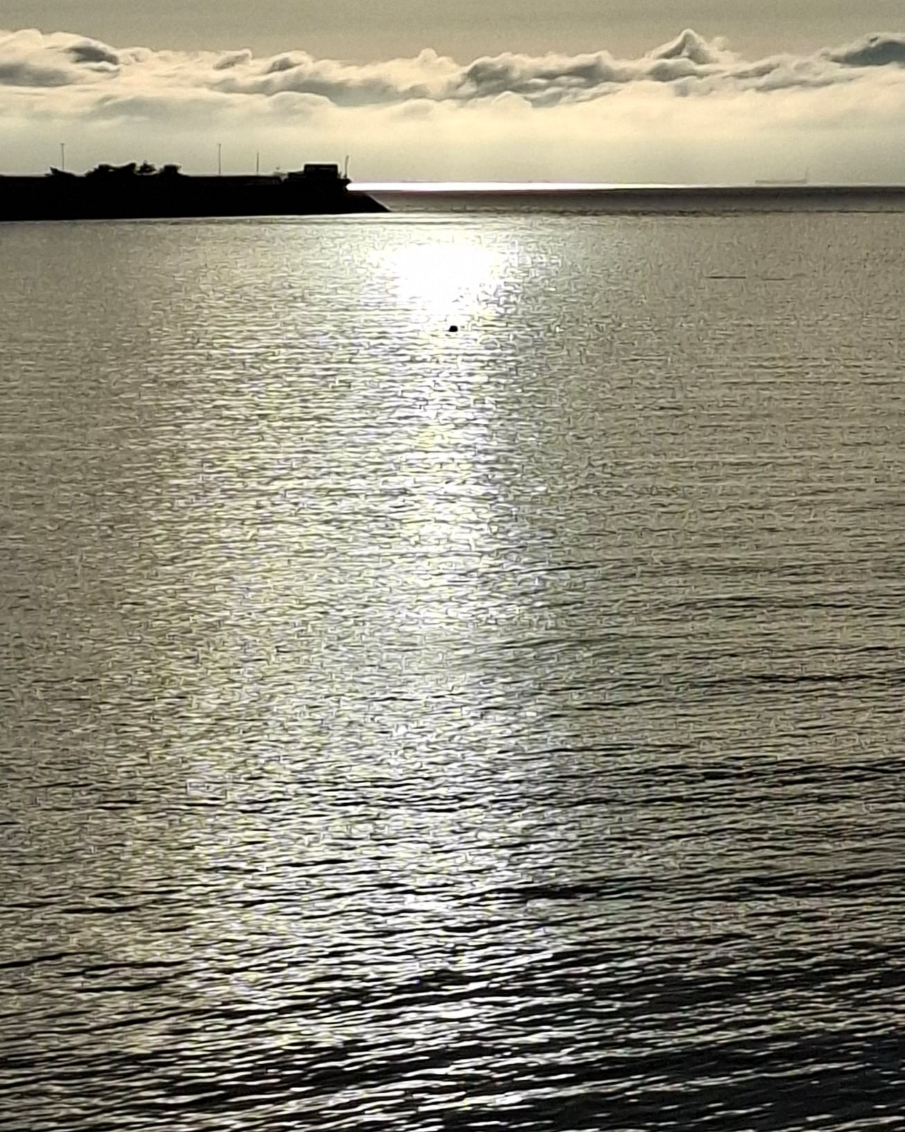 CYMERA_20260721_205814.jpg