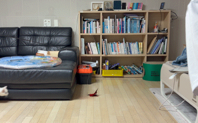 20260704_103840.gif