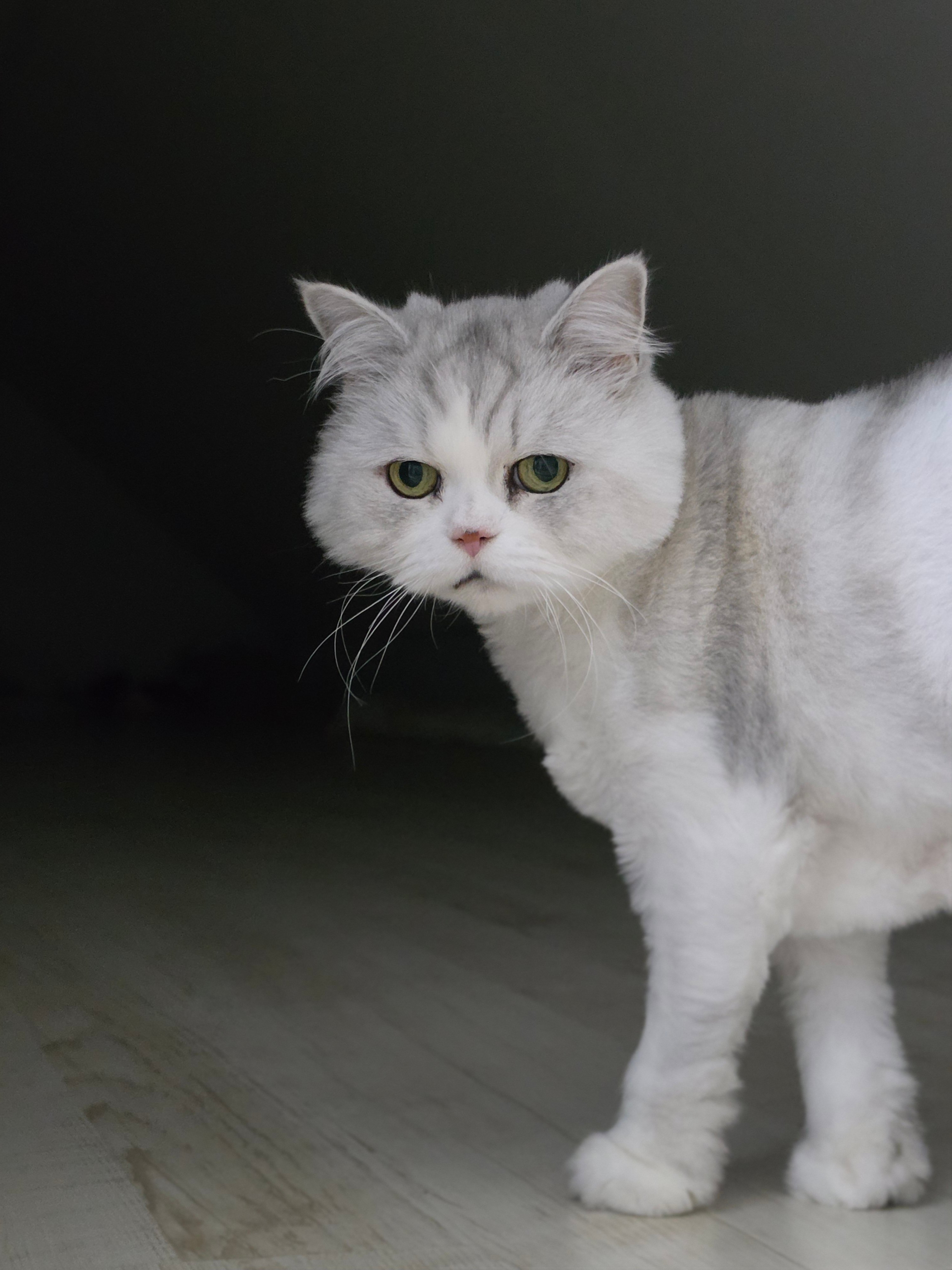 첨부 이미지