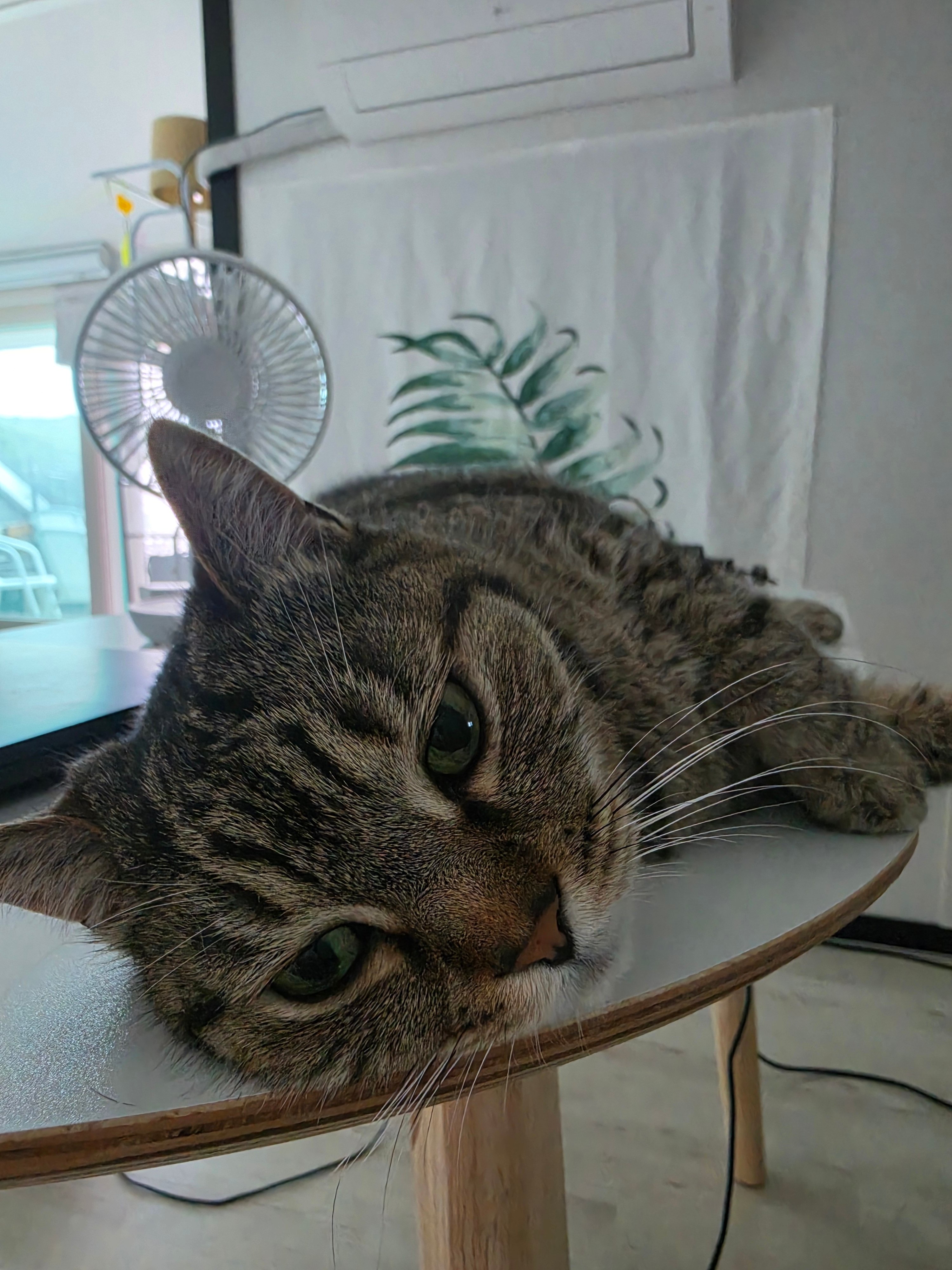 첨부 이미지