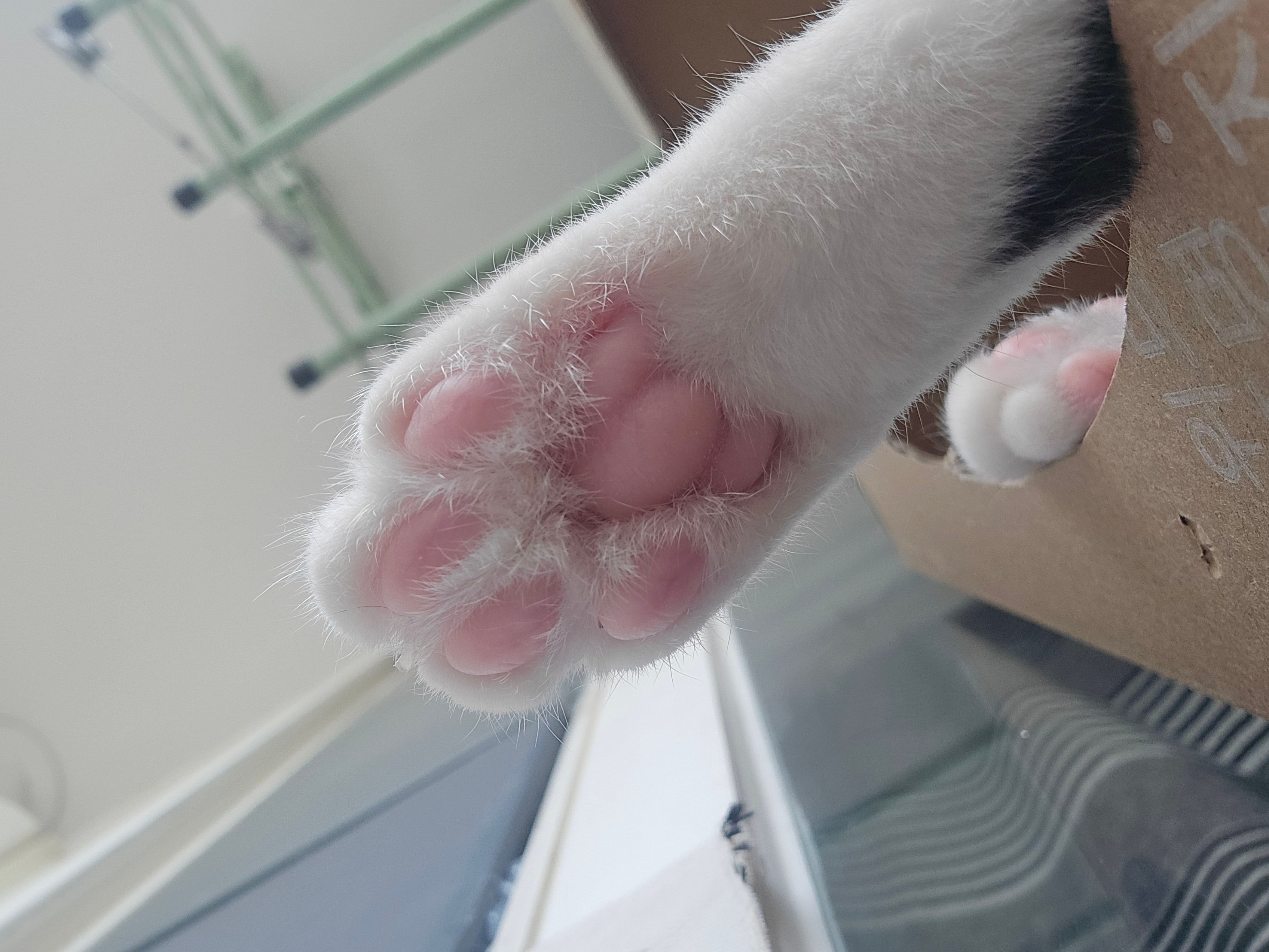 20260723_143542.jpg
