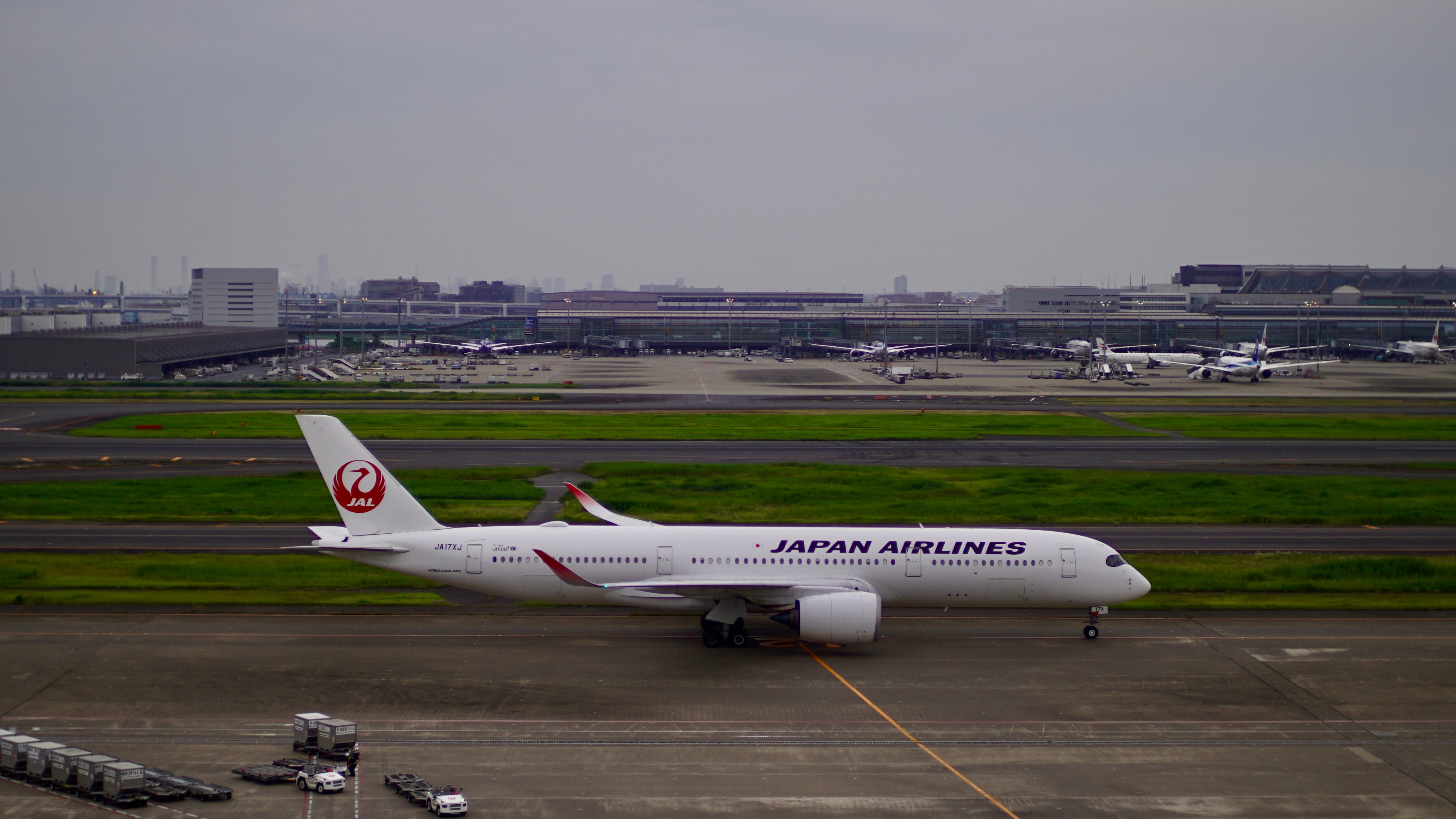 DSC01702.jpeg