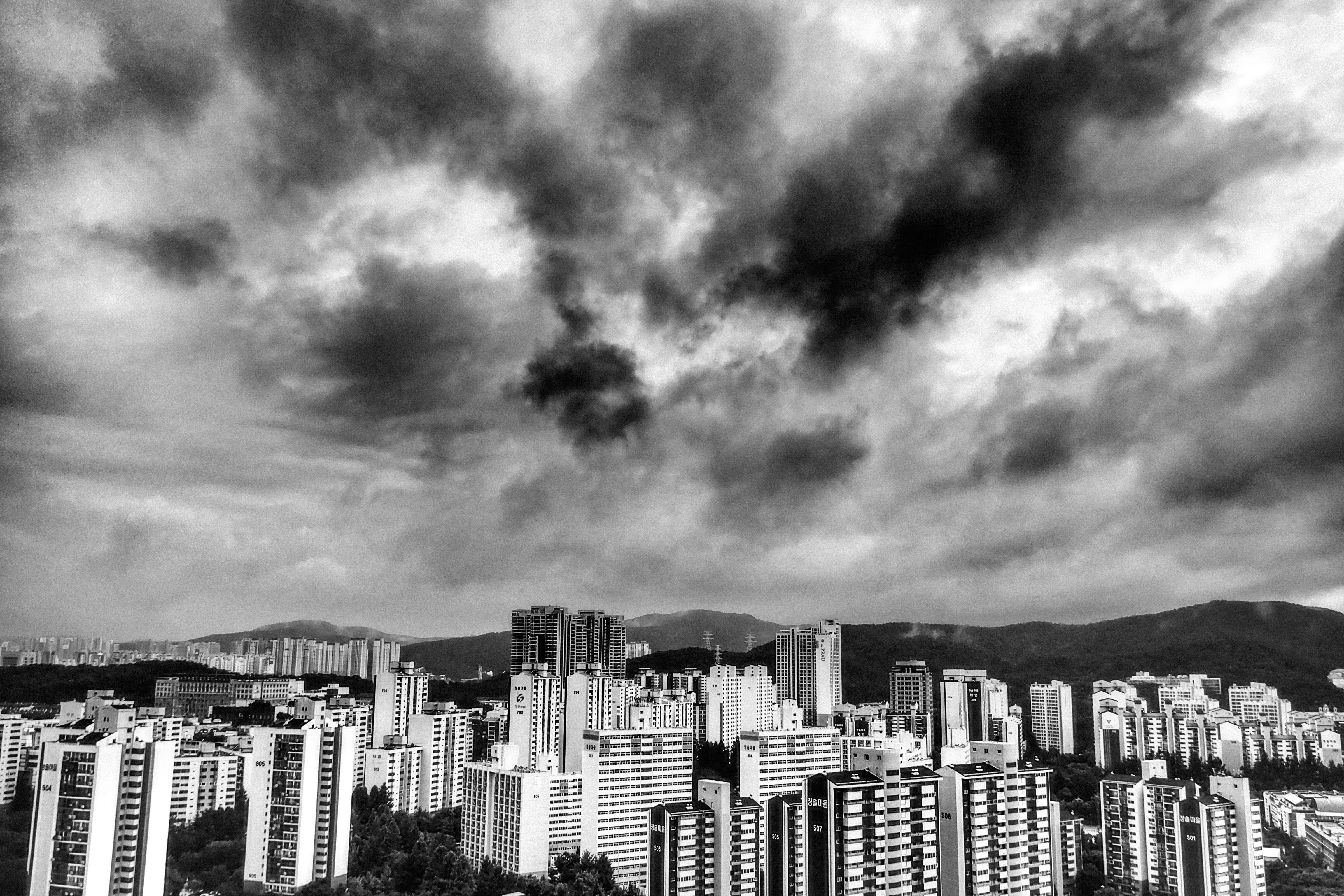 P7210378.jpg