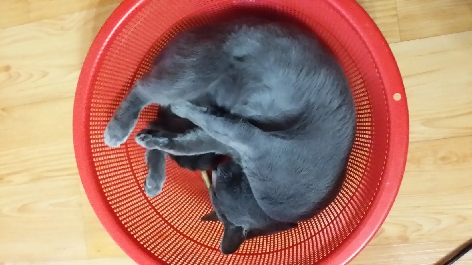 첨부 이미지