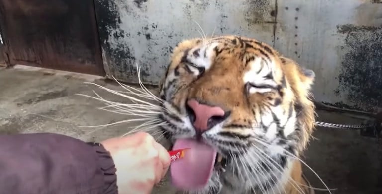 첨부 이미지