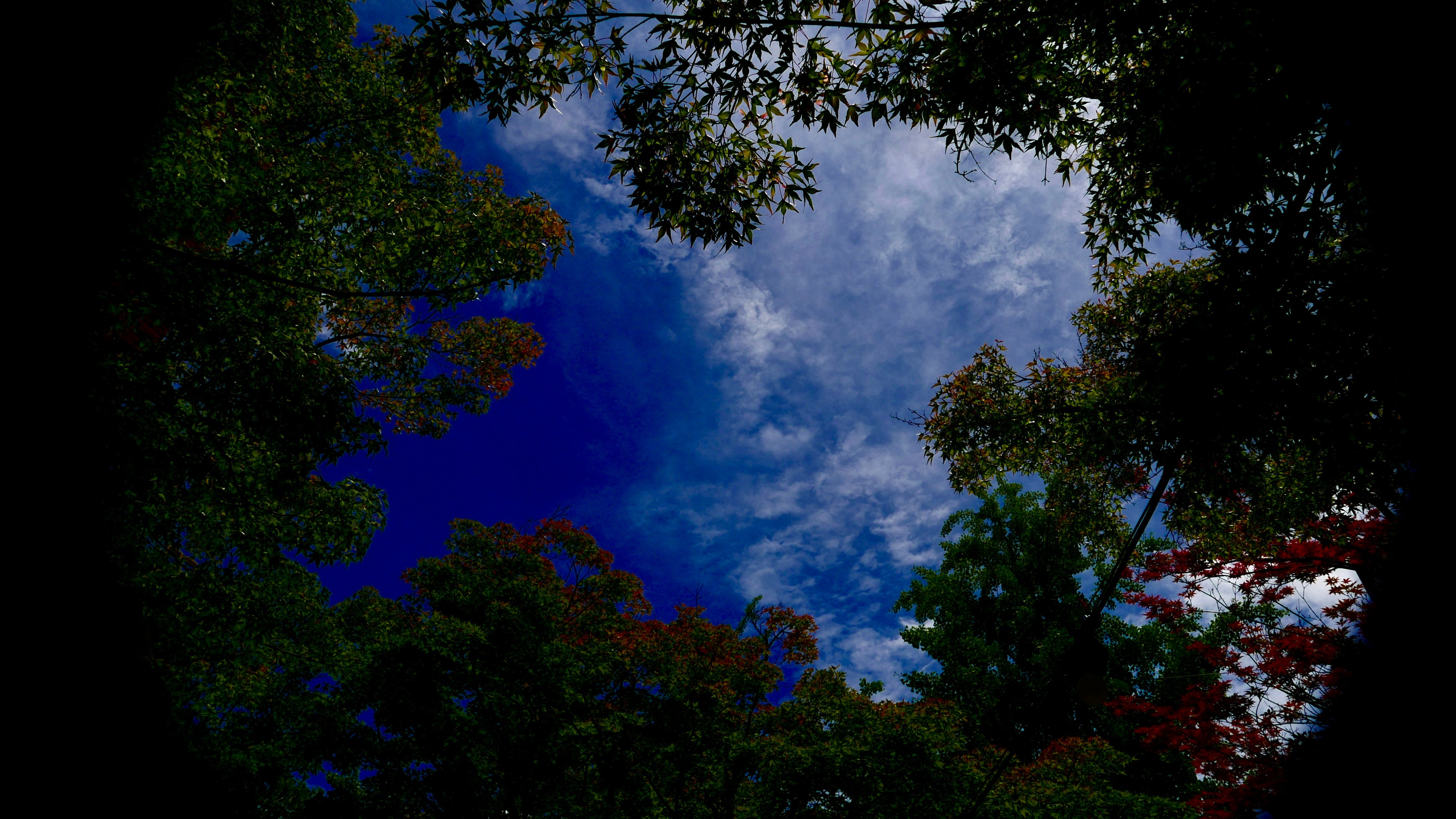 P7450444.jpeg