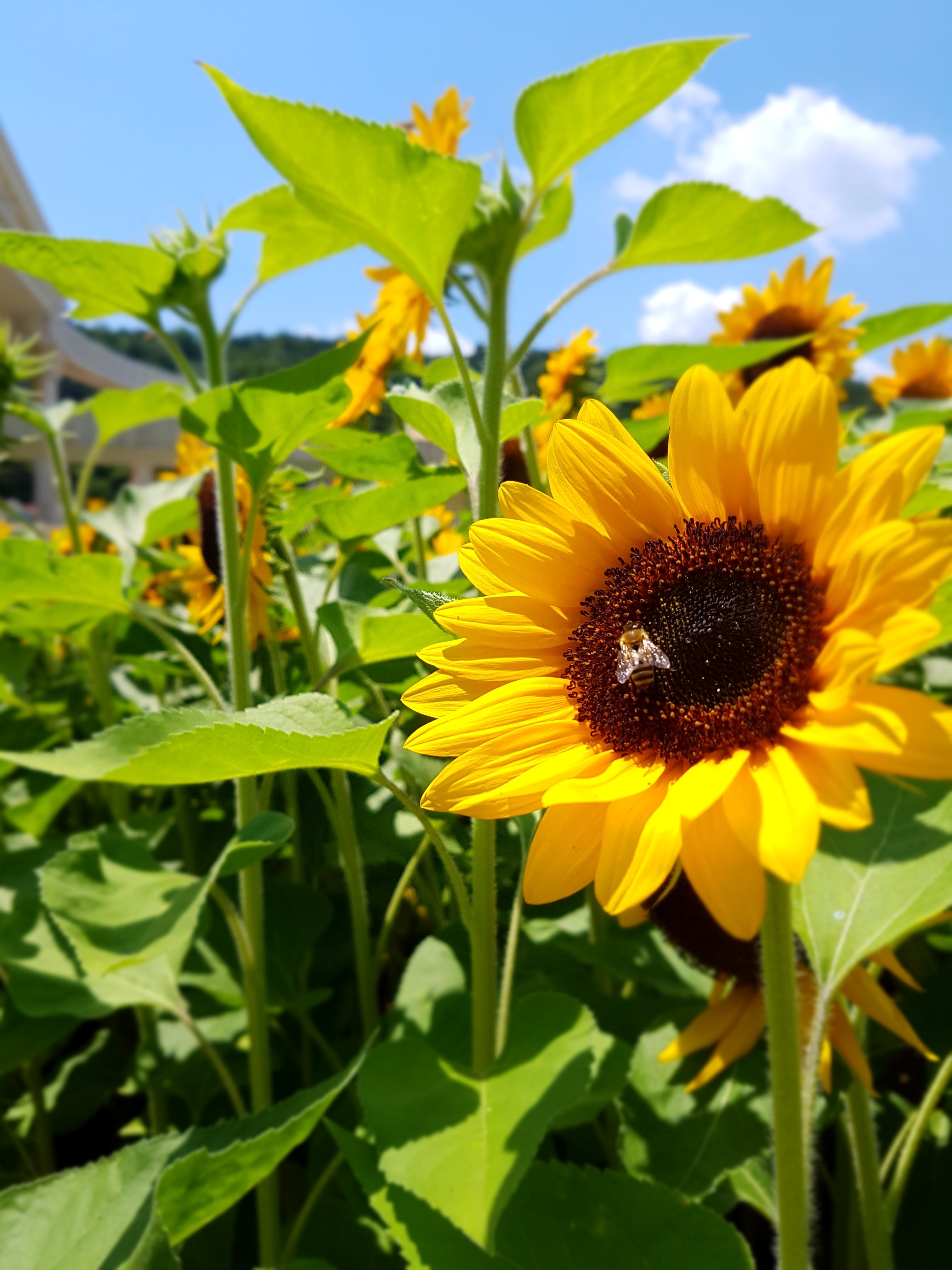 20160625_114753.jpg