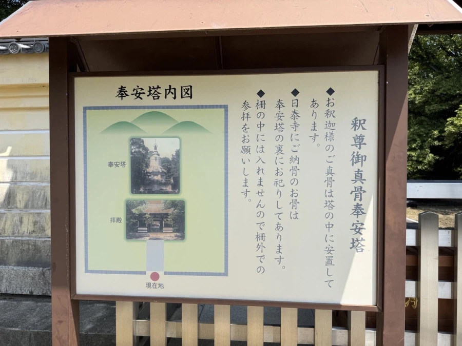 19fa1b6ca01132ddf.webp