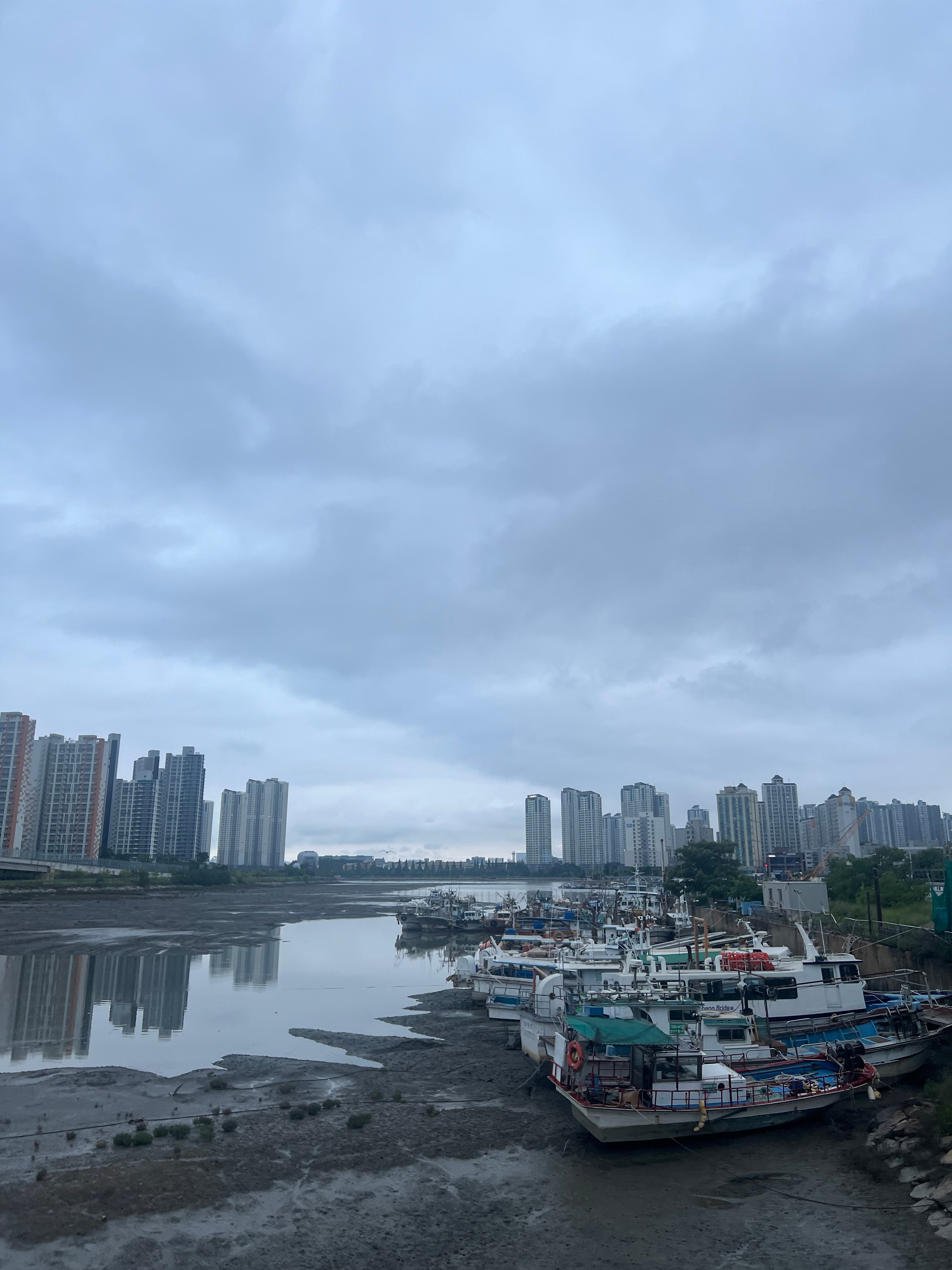 IMG_3032.jpeg