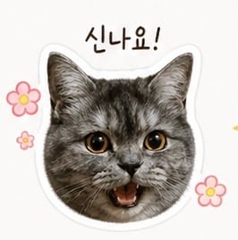 첨부 이미지