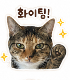 첨부 이미지