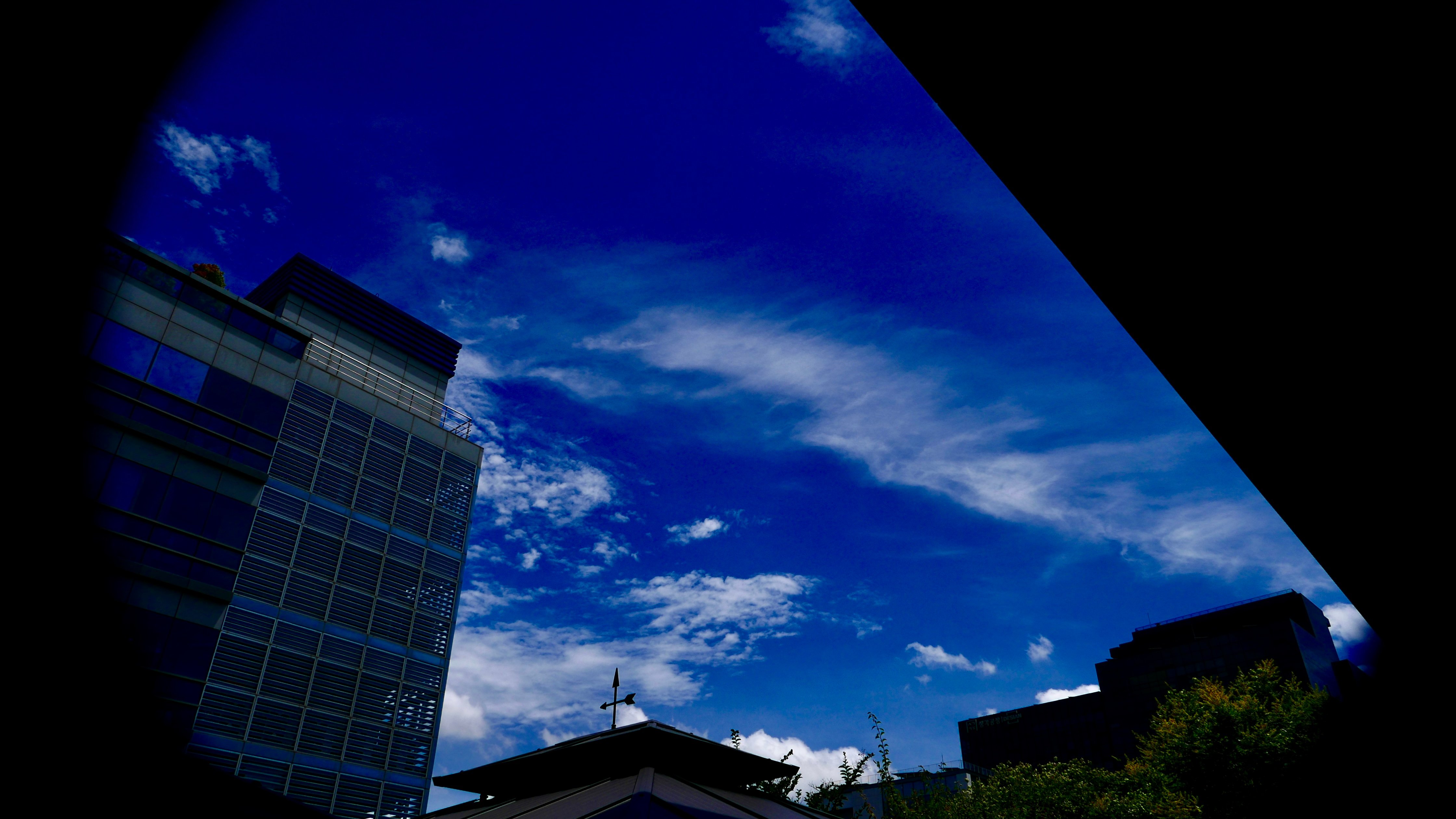 P7450433.jpeg