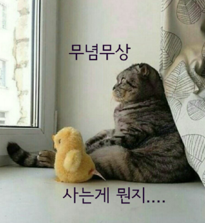 첨부 이미지