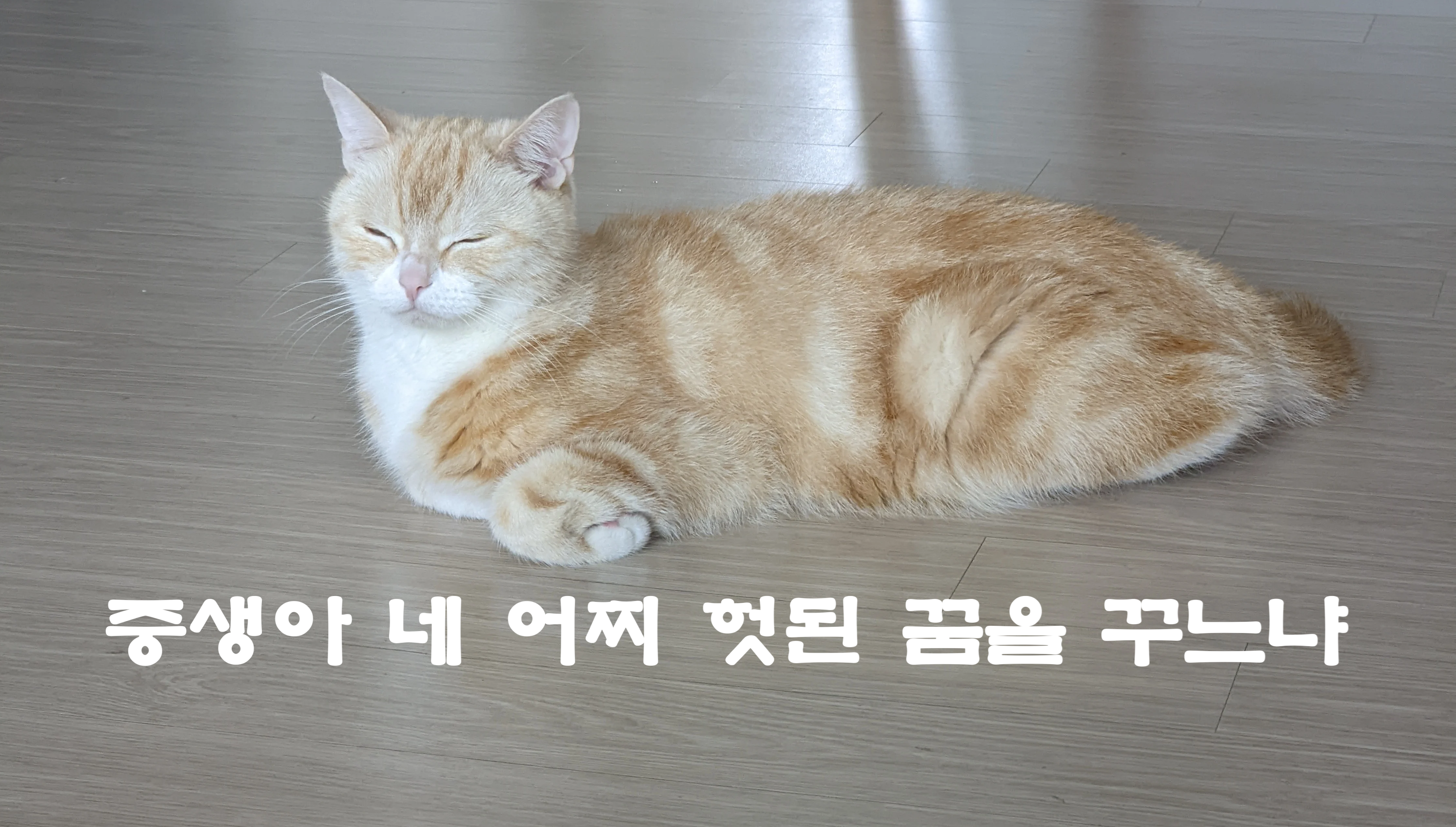 첨부 이미지
