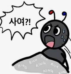 첨부 이미지