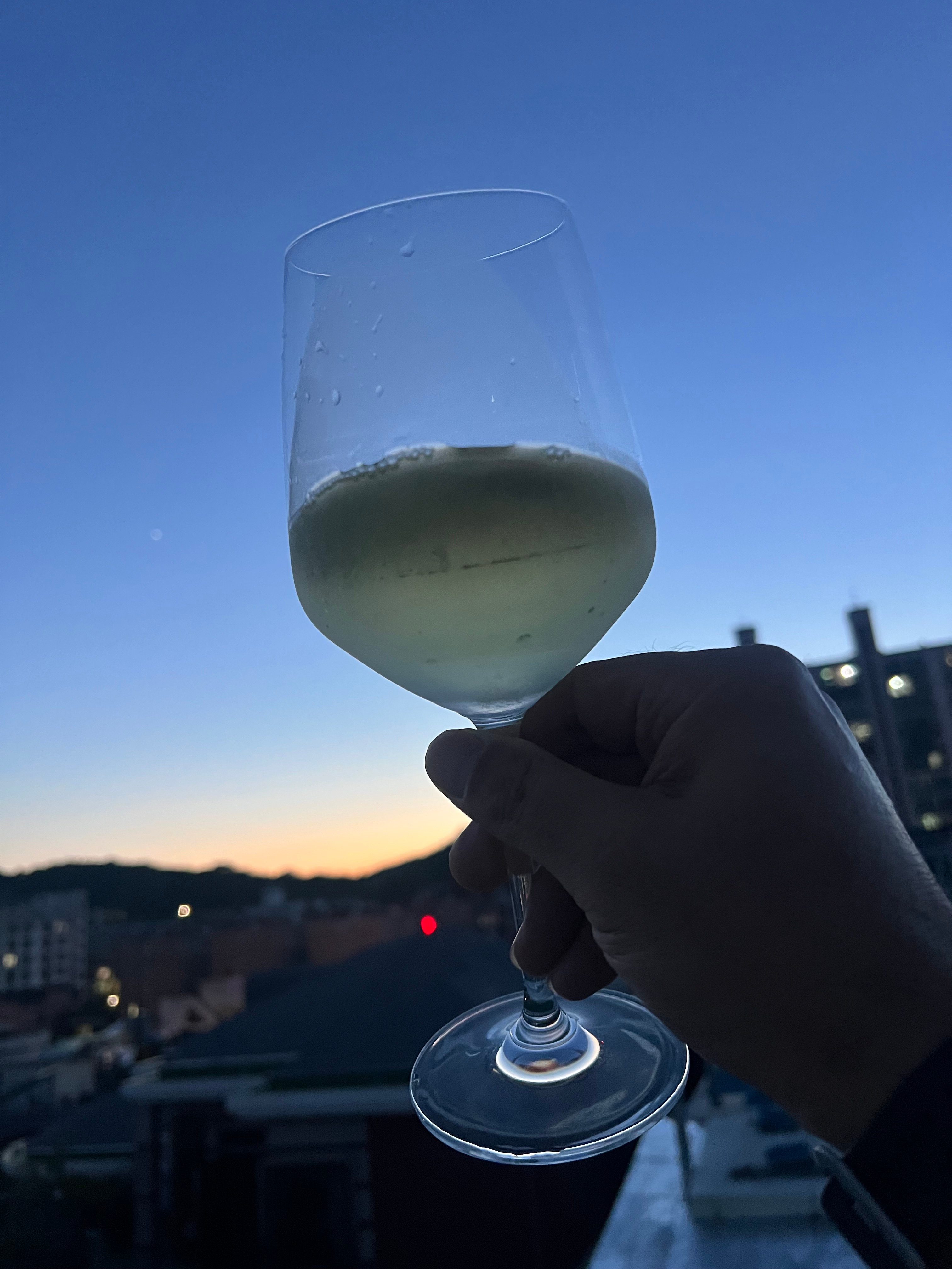 IMG_5008.jpeg