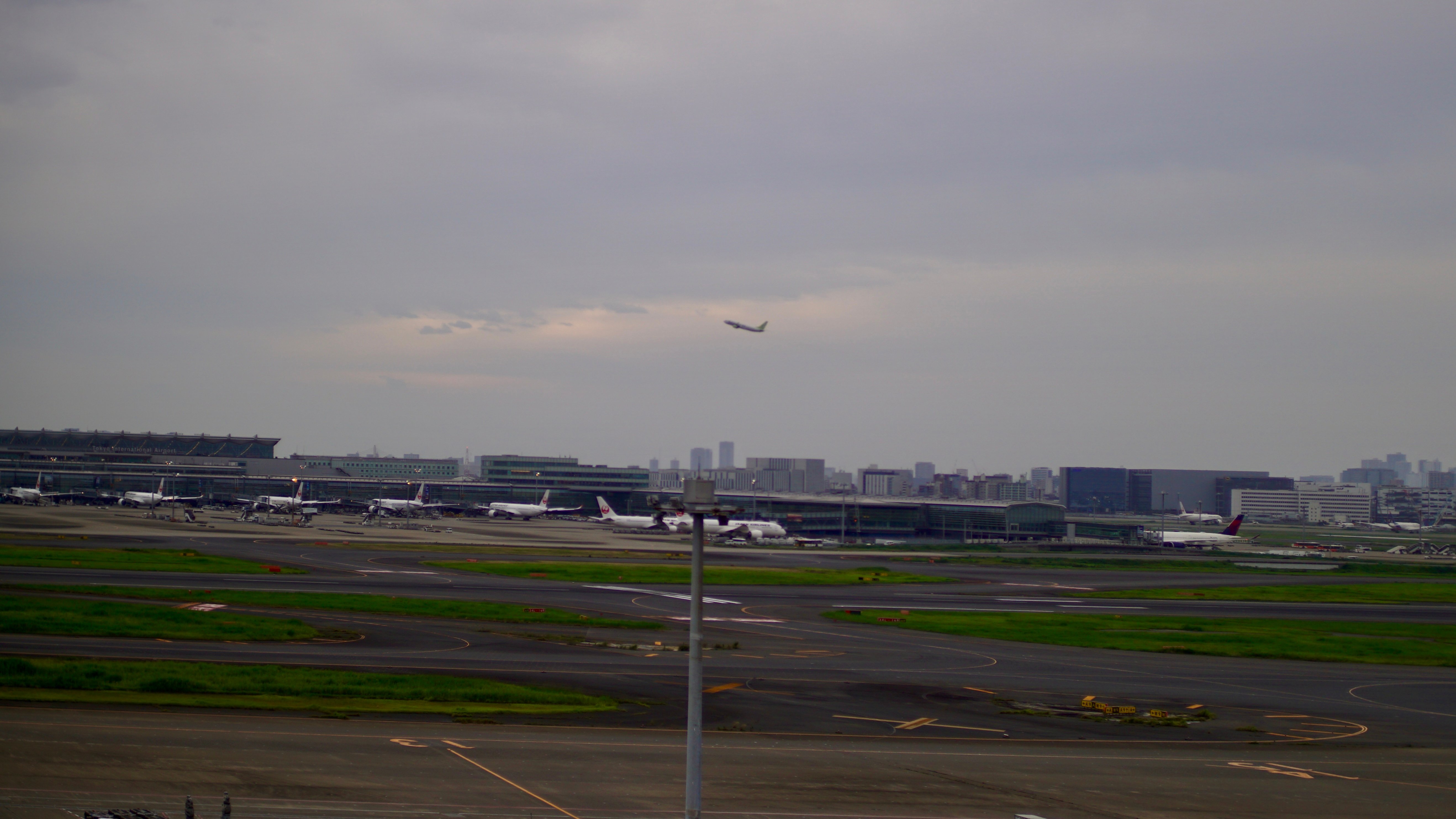DSC01699.jpeg