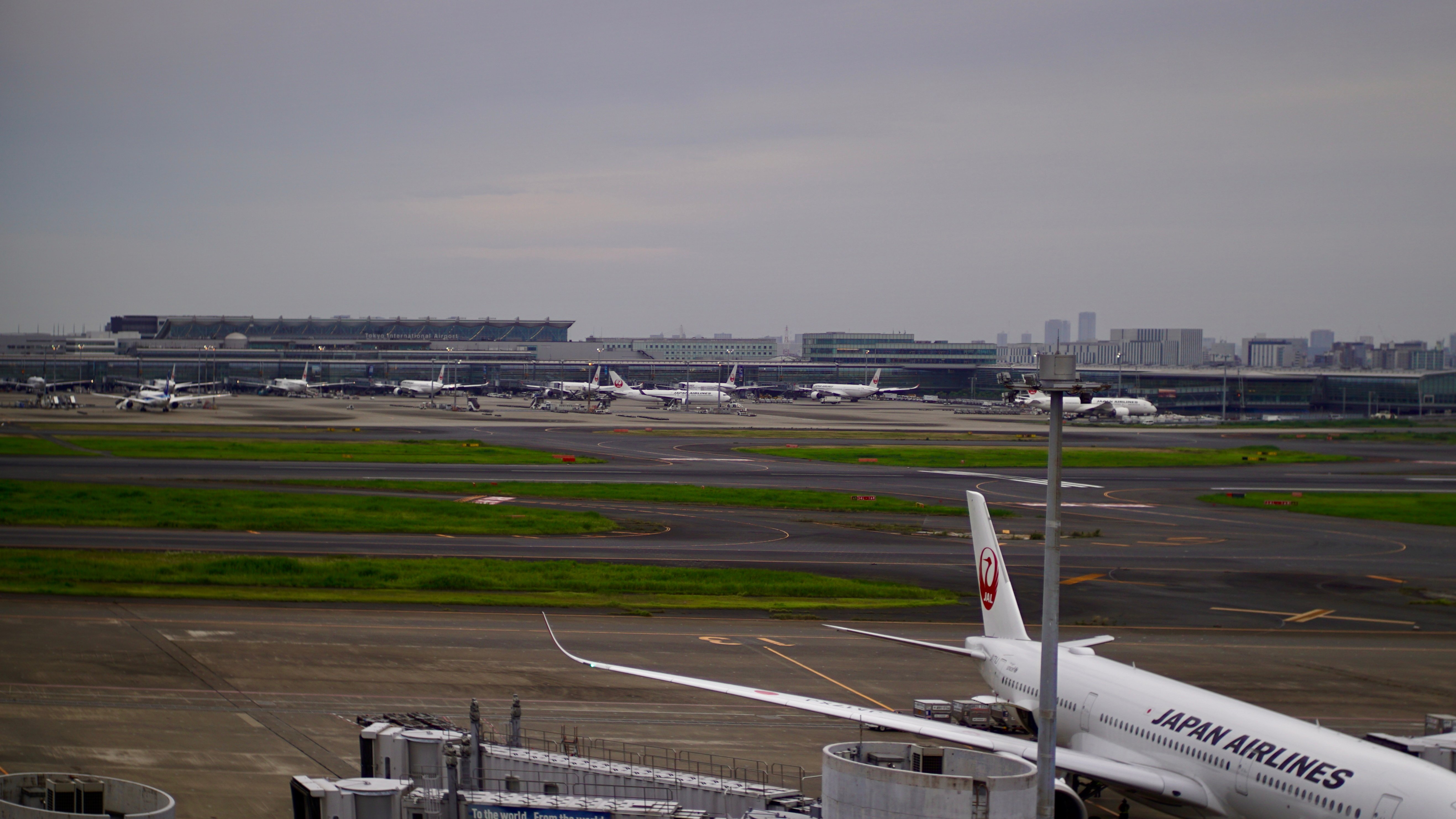 DSC01705.jpeg