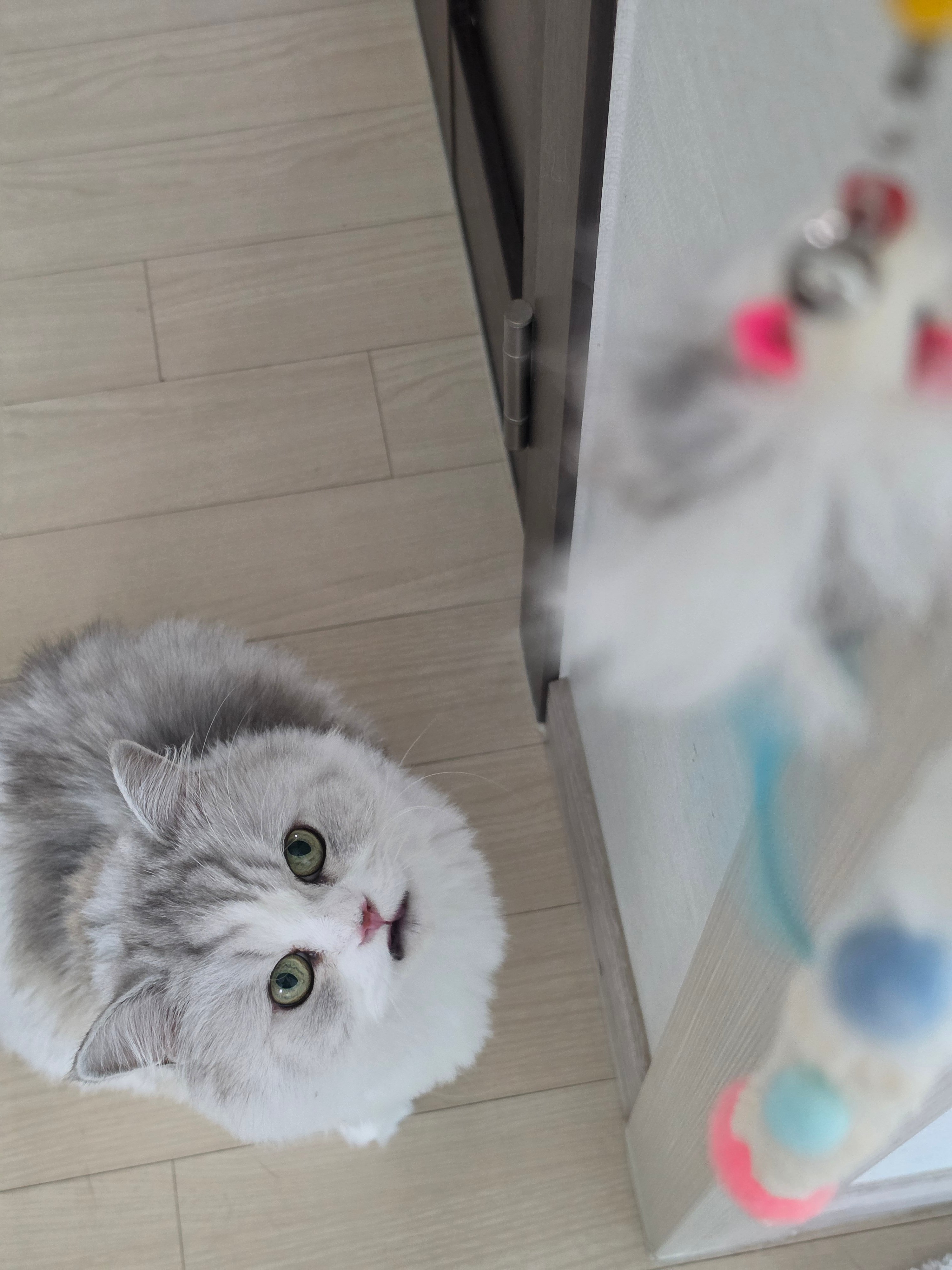 첨부 이미지