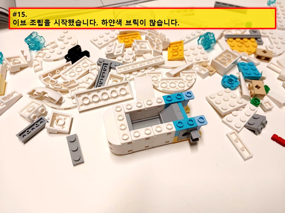 43279-15.jpg