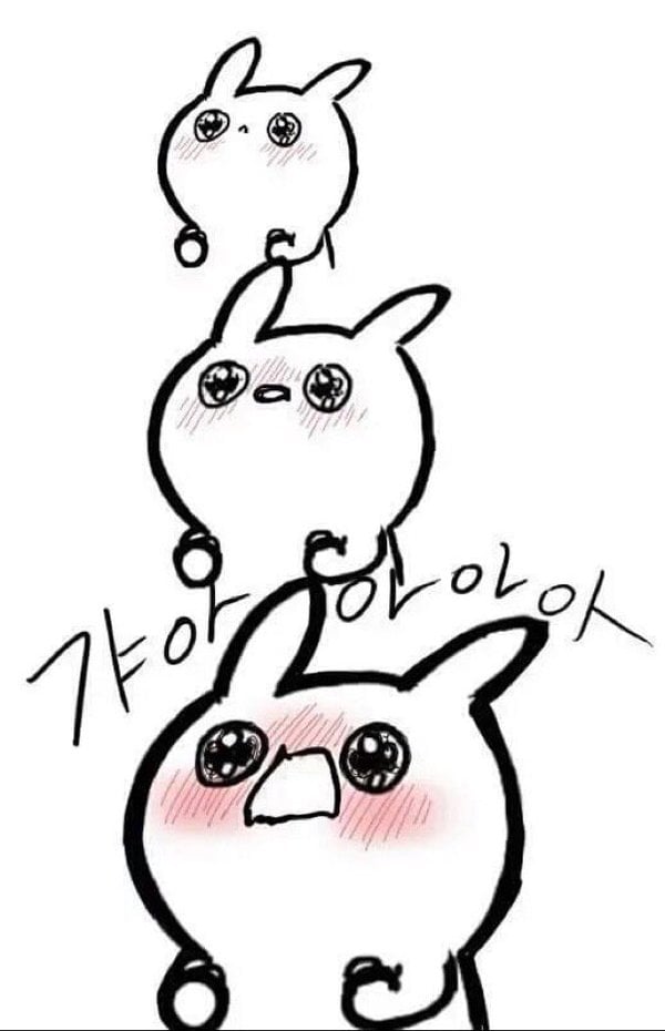 첨부 이미지