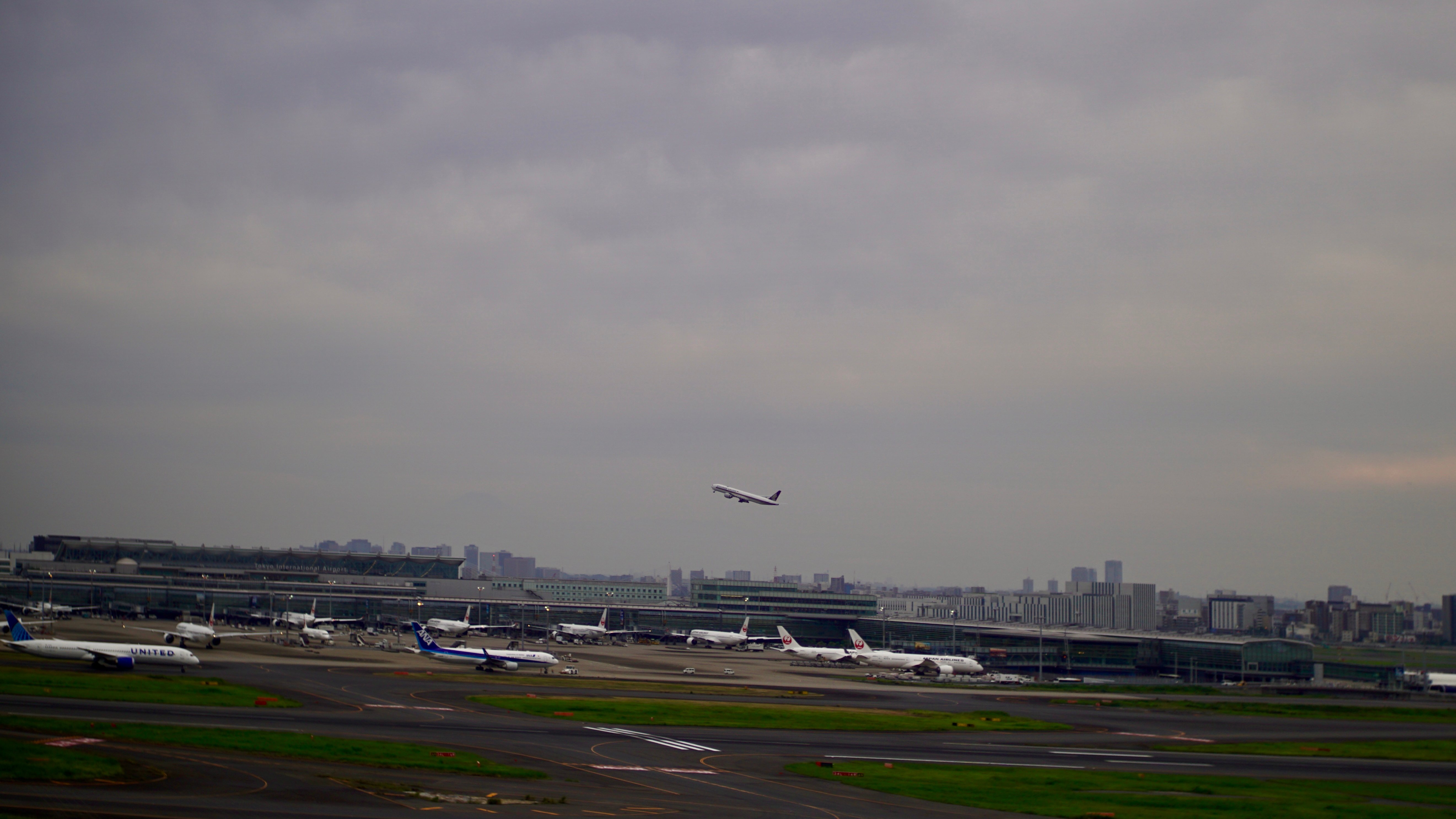 DSC01694.jpeg
