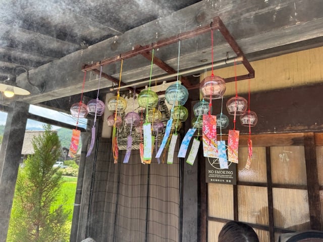 IMG_0008.jpeg