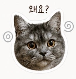 첨부 이미지