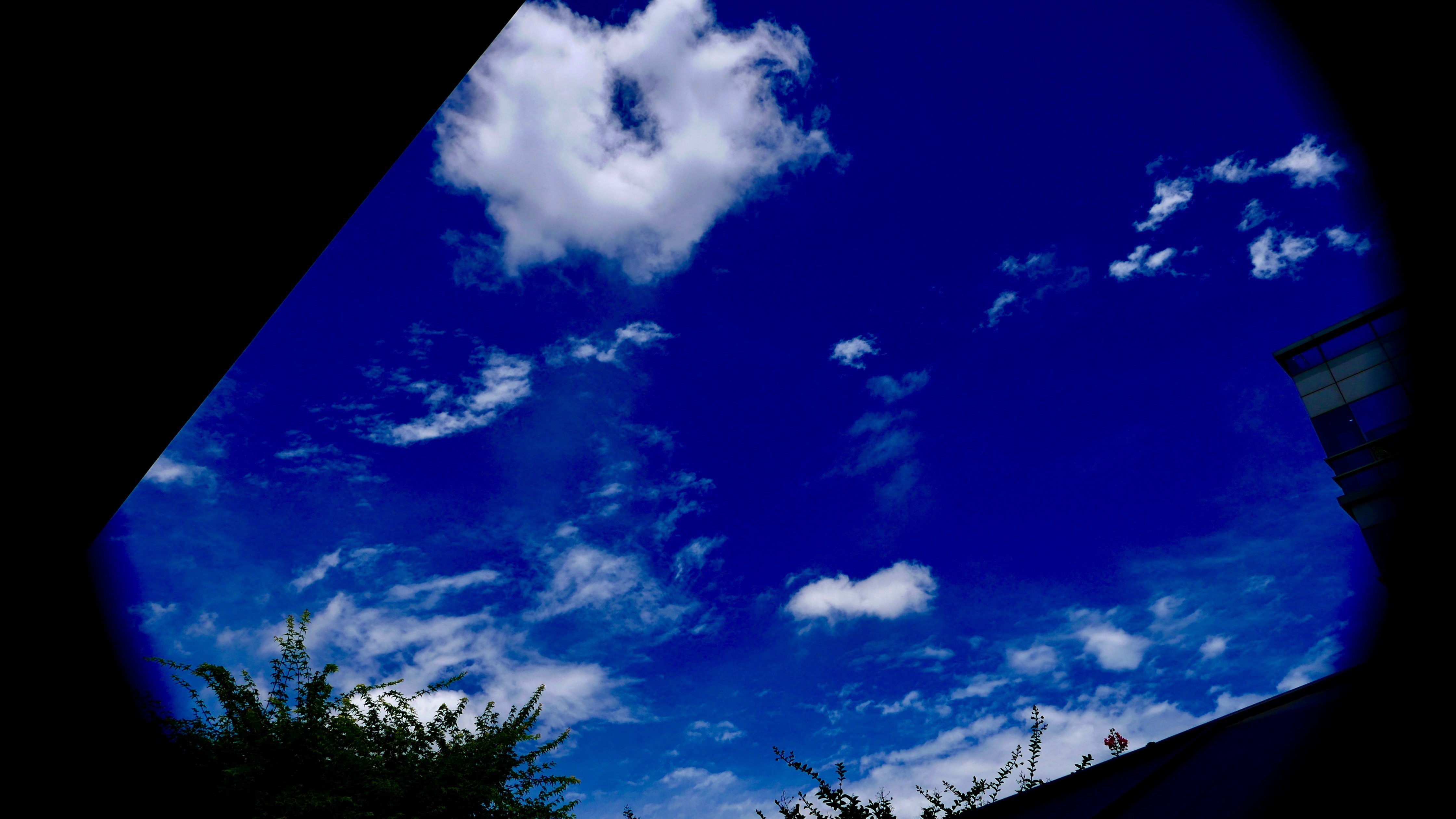 P7450434.jpeg