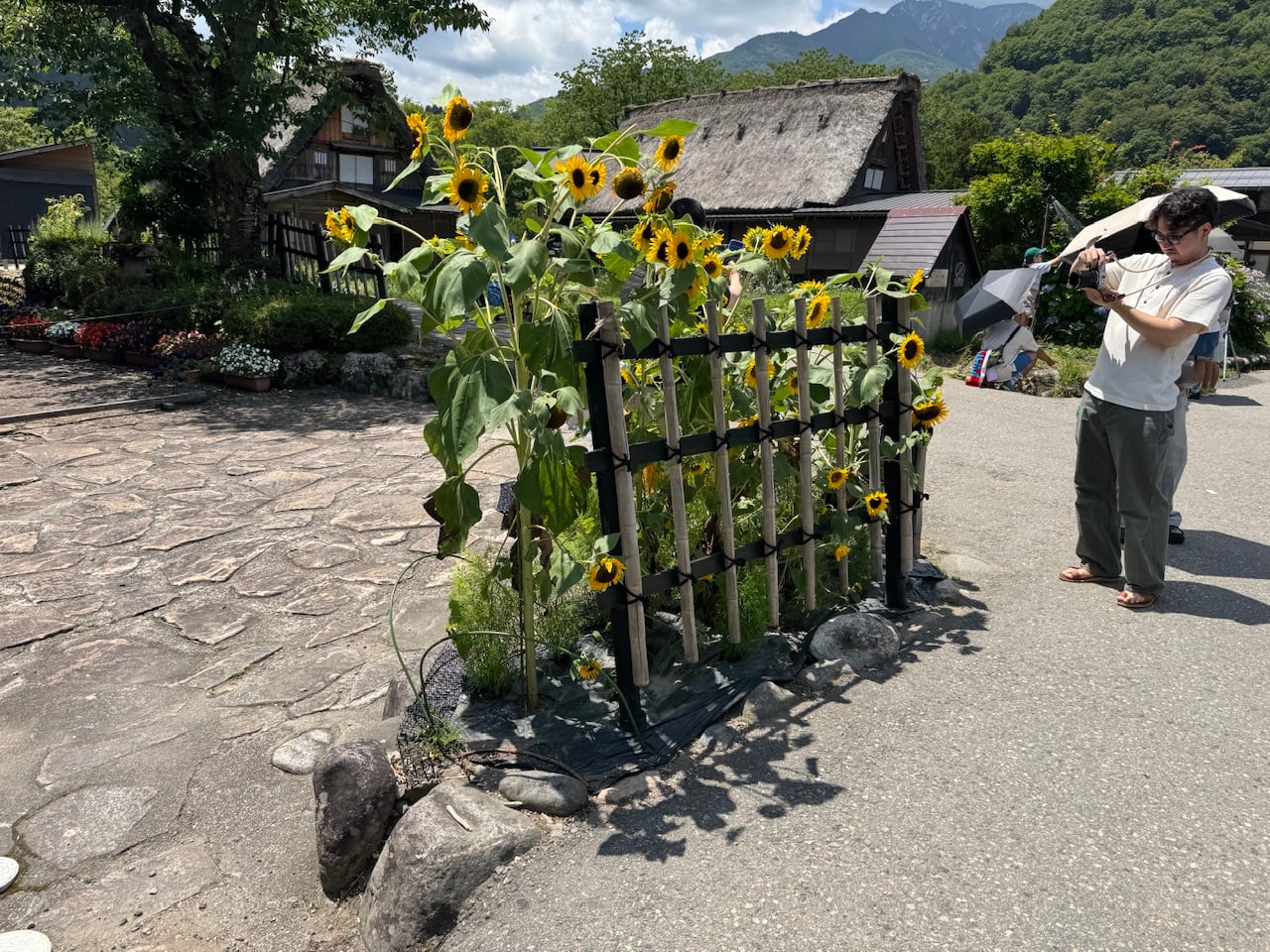IMG_0056.jpeg