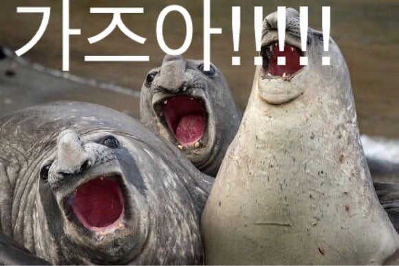첨부 이미지