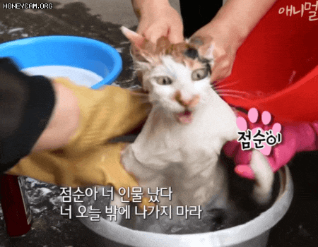 첨부 이미지