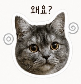 첨부 이미지