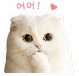 첨부 이미지