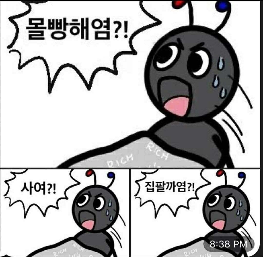 첨부 이미지