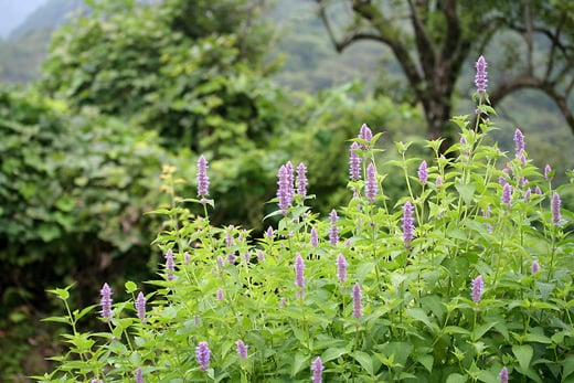 30570-661bc10644fef-181a8b1cc6cfab384801f86387ab82a4d0e0cf7d.jpg