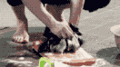 39853-661cc2e09fc20-921d1c2fdc6db2eb0fc6ea500fb207d997151fdd.gif