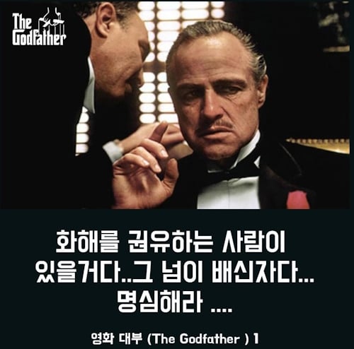 4095f-6618ba984648c-b85f5a21af8d477eb6ae0dee1304d0d28eecd1fd.jpg