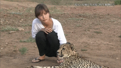 422b9-661bc7d10a0f0-25fb4b28e806bd634109e5d9bfd24b29019d5fd9.gif