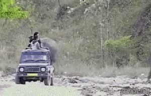 422b9-661bc81979db3-0798d895276b7e67d24b761ee8cc4227633c7c22.gif