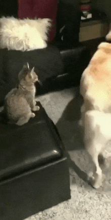 422b9-661c2f23c085f-0b3cc9c04f72237c012f0e363fe9106e857f4826.gif