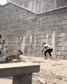 422b9-661d93a9b0b09-2ef19d25c71297ea5ab87db1f9016ad6fe035f49.gif