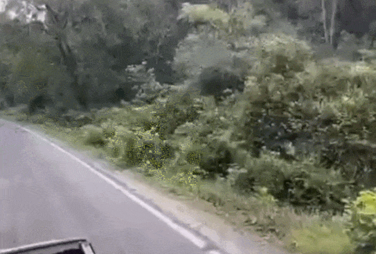 77b76-66276e901473f-098c76ad6784eb858753649c7cef7fe74e311ba5.gif