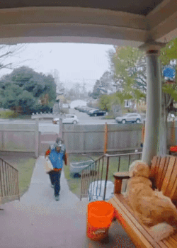 8e046-662377c695ef8-32b520676327efbad30752c164e08bedc945c7ba.gif